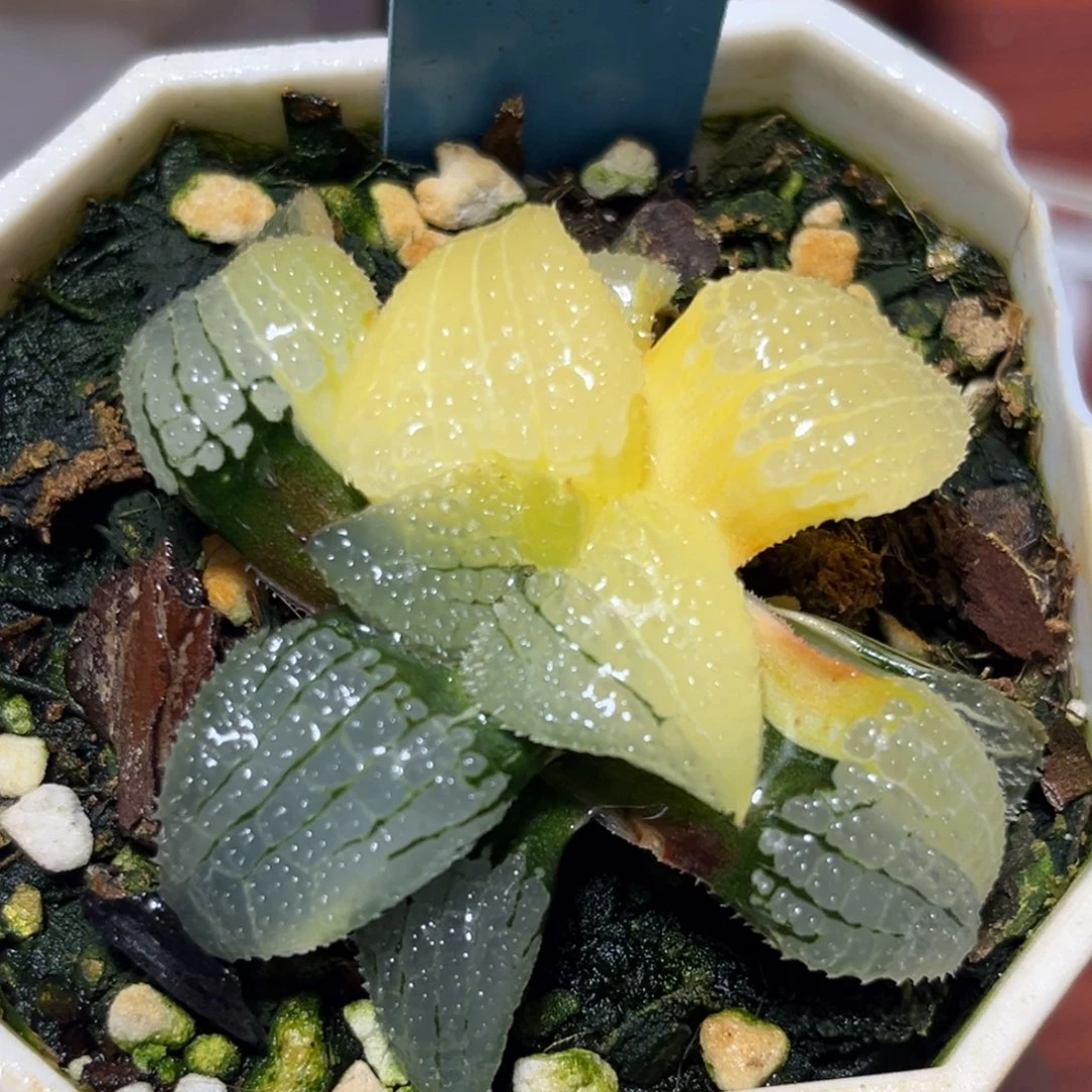 恭喜发财大吉大利813天空