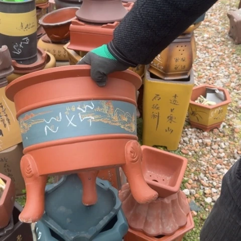 紫砂花盆紫砂花盆盆景盆栽