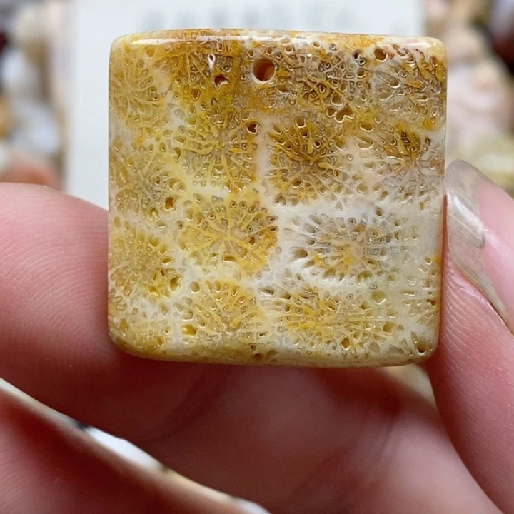 颈饰未镶嵌硅化珊瑚（珊瑚玉）有瑕 小