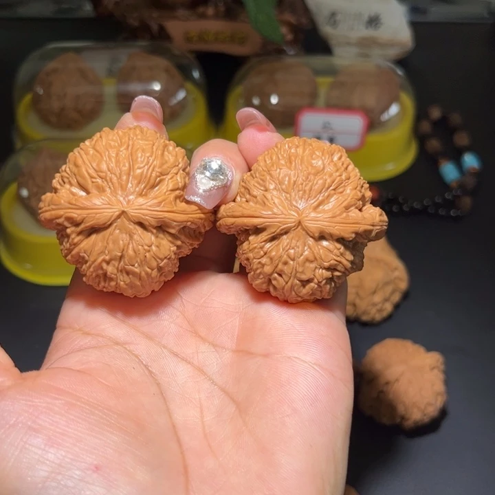 44尺白狮子！时光文玩