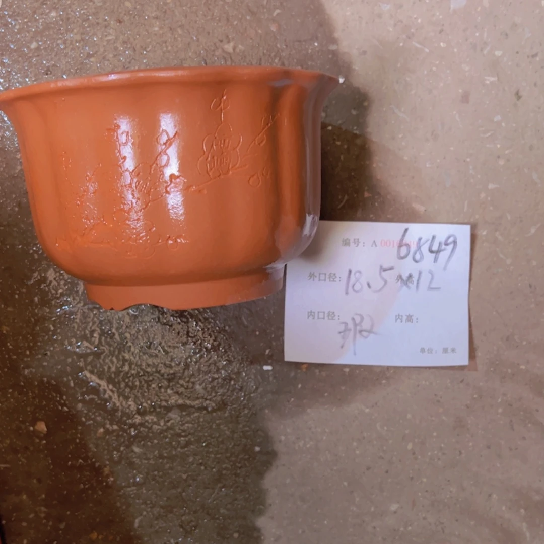 花盆紫砂紫紫砂盆