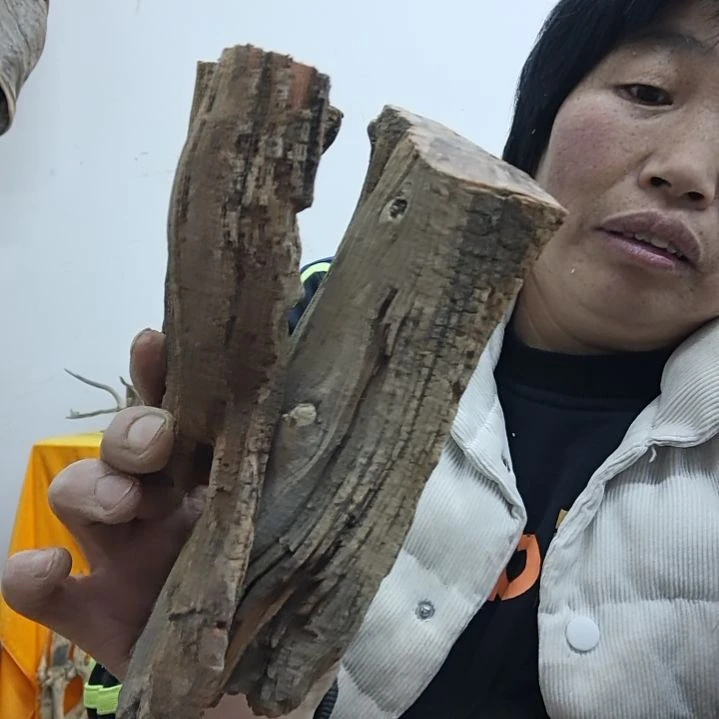 风车木（黑檀木）笑*极