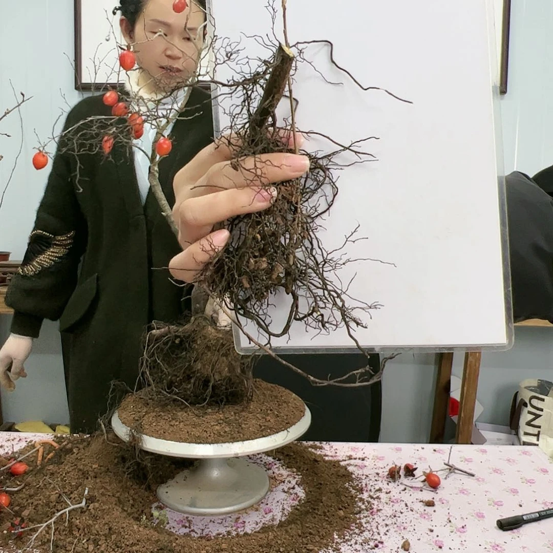 灵****）ba ba ba ba