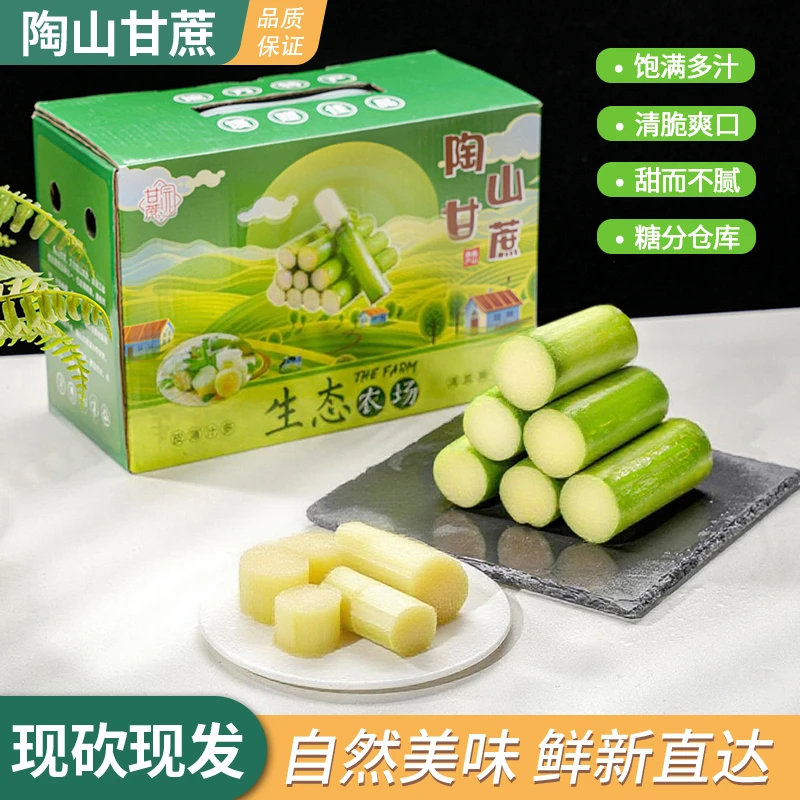 陶山青皮绿皮甘蔗果肉装去节即食新鲜应季水果脆甜可口顺丰包邮