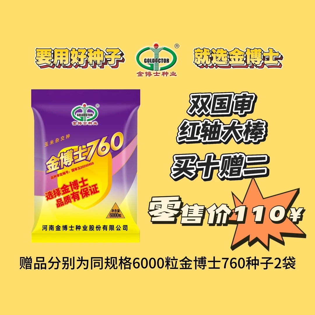 金博士760玉米种子双国审