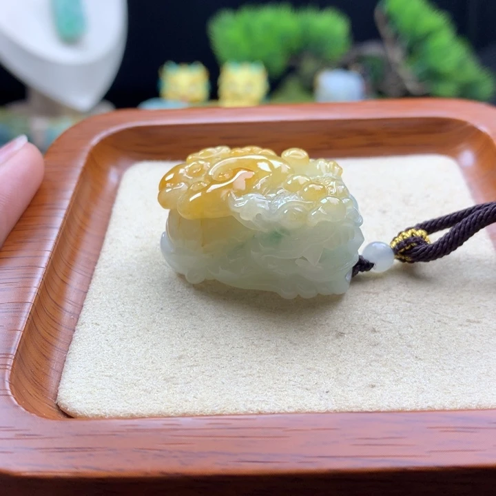 翡翠未镶嵌颈饰貔貅10
