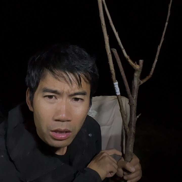 当前无花栽培后可以开花151