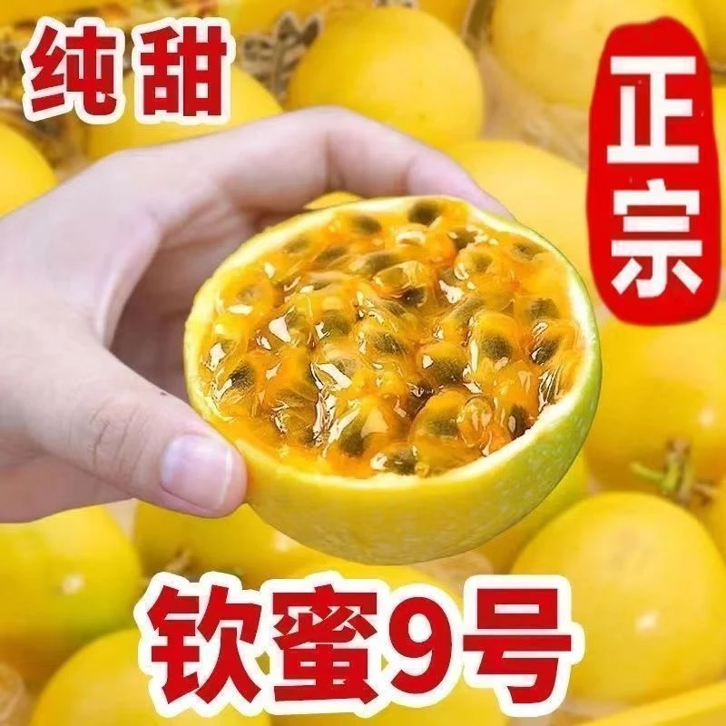 正宗新鲜钦蜜9号百香果香味浓郁广西当季水果香甜多汁