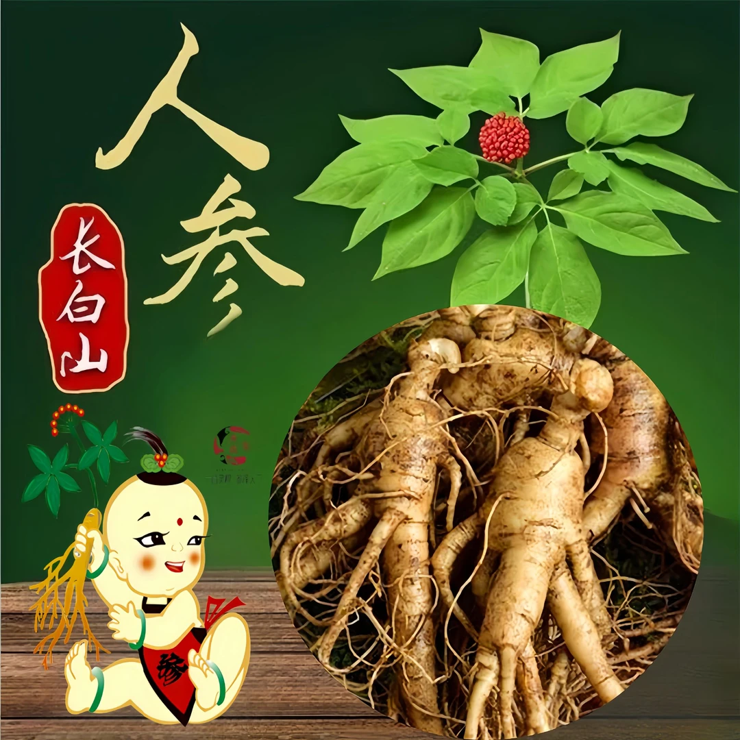 【长白山人参泡酒】25多种组合泡酒原材男士滋补养生