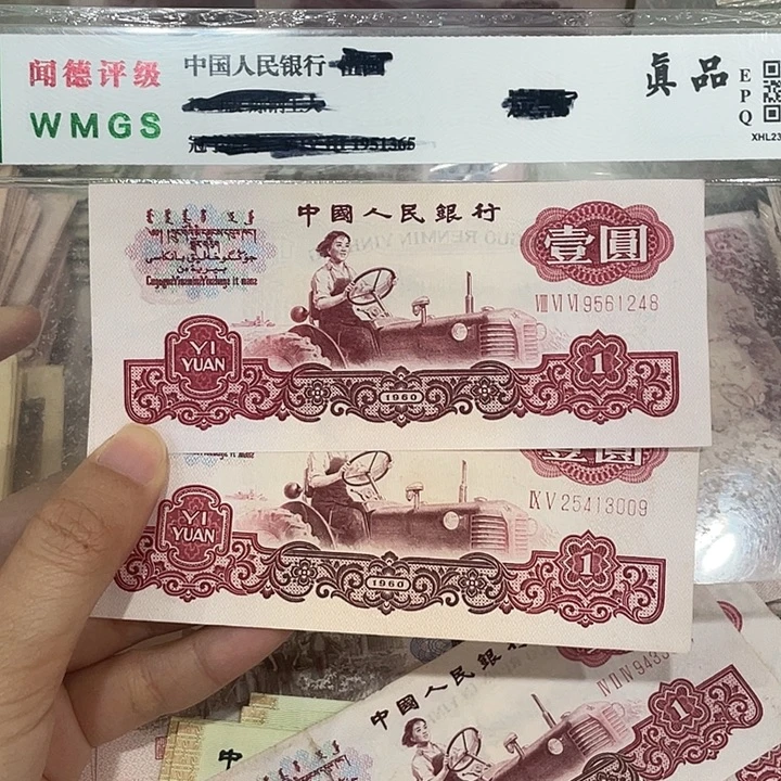 女拖两张，八九成新