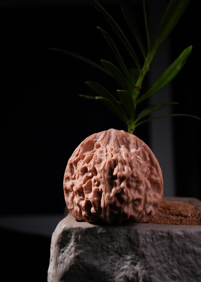 津门永核 售后及注意事项