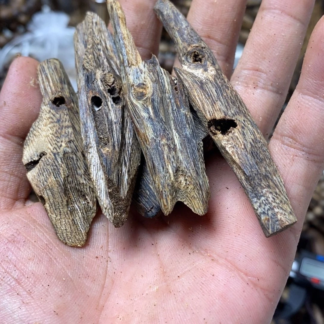 沉香碎屑沉香22克