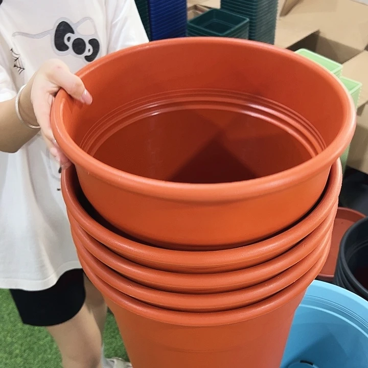 特价翻边口32高35陶红无托5只