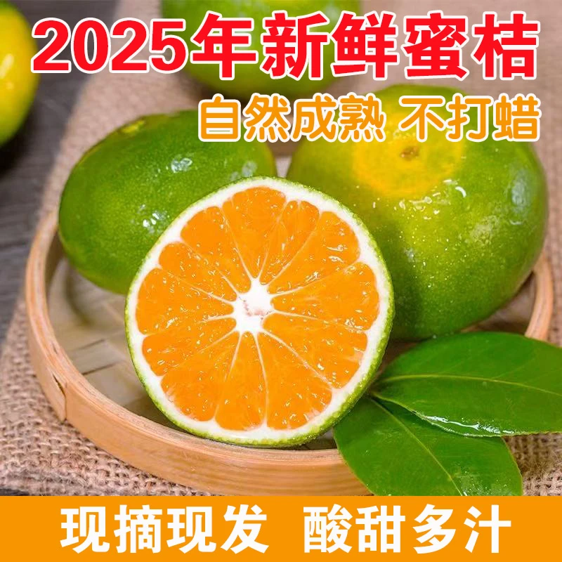 湖北青皮蜜桔橘子柑橘早熟新鲜柑子现摘现发应季孕妇水果