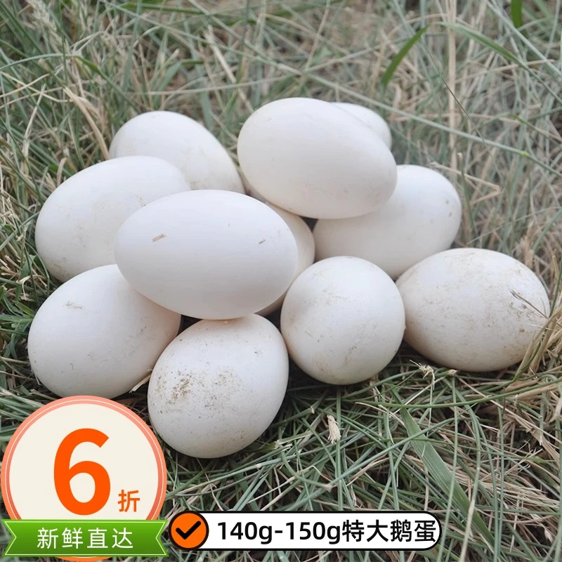 新鲜正宗农家散养土鹅蛋孕妇宝宝营养健康之选6枚140克-160克