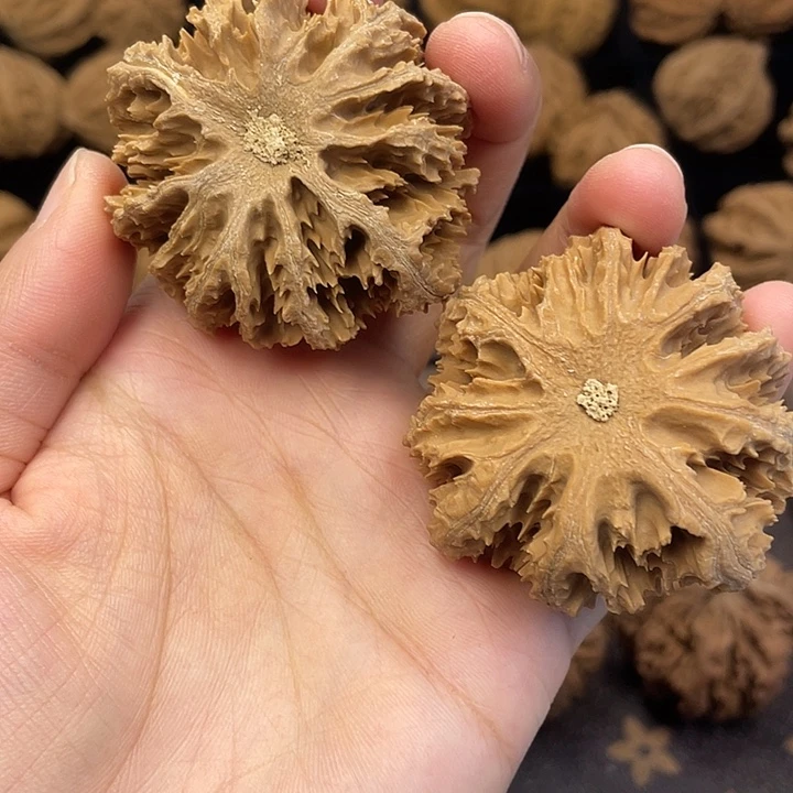 吊坠文玩核桃秦岭突突突突突突突突突突突