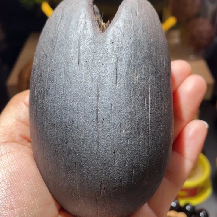 桃核把件海椰子黑金刚
