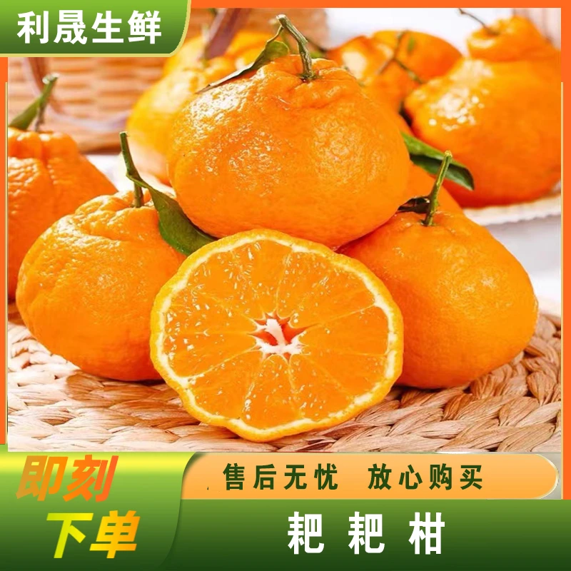 【小辣椒专属】四川春见粑粑柑橘子当季新鲜采摘水果4.5斤