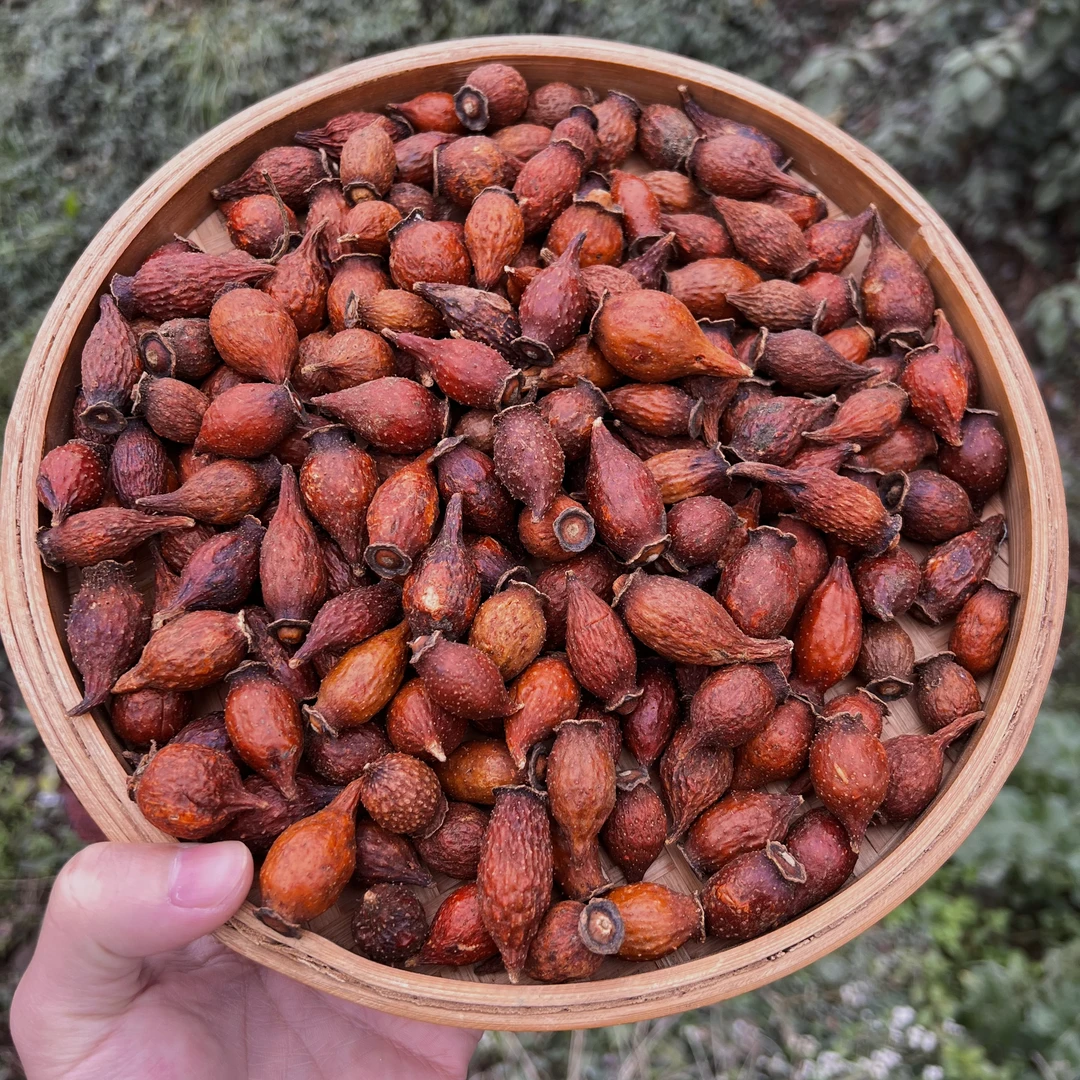 高山 农家 锁~阳子