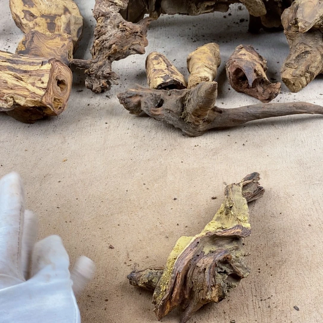 梅***蓝黄花梨/降香黄檀降香黄檀黄花梨