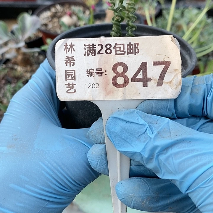 847一一一一一一一一一一一