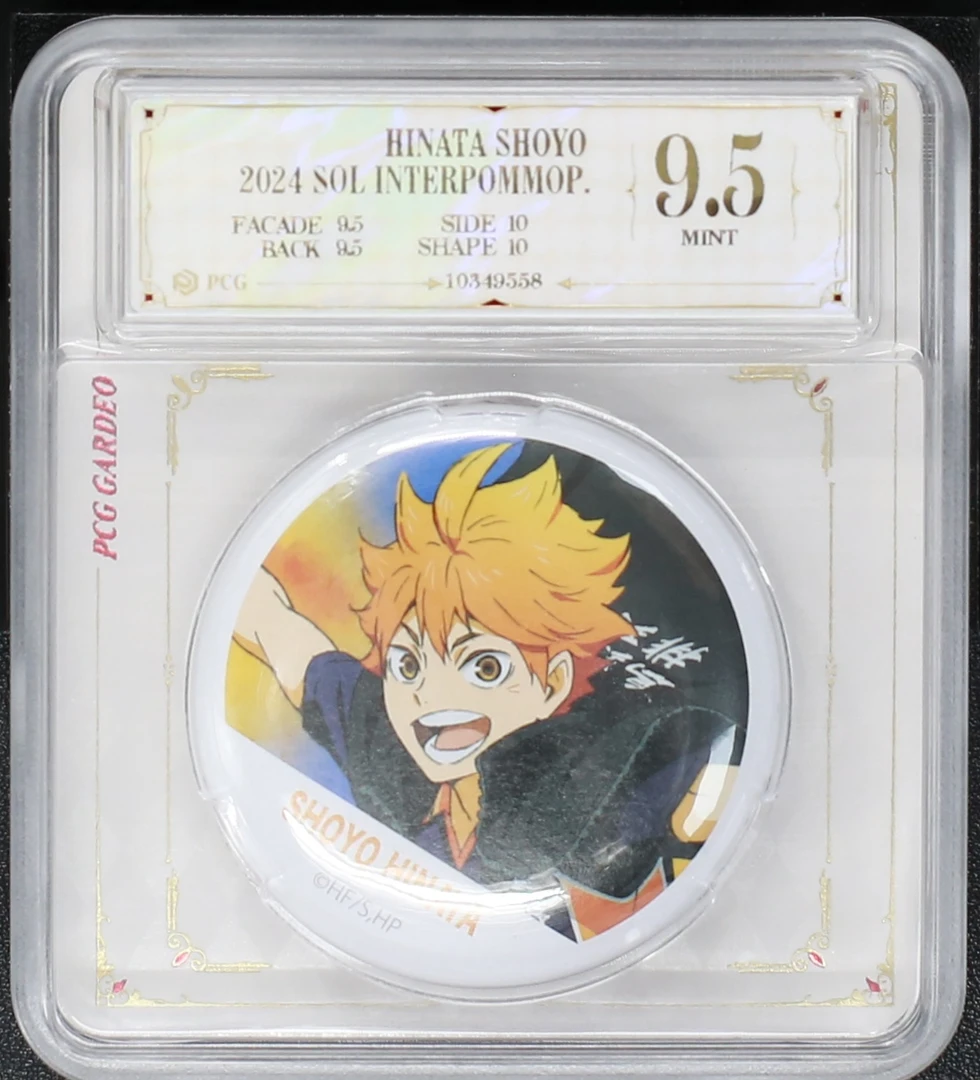 排球少年正版日谷队旗第一弹评级吧唧徽章一枚 日向翔阳