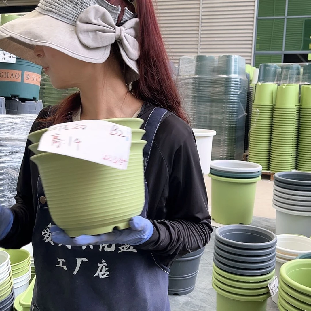仿陶盆B2果绿色5个含托