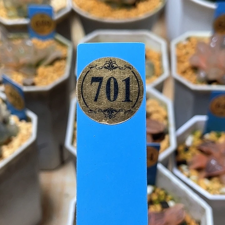 鹤****701小姐姐专拍福利