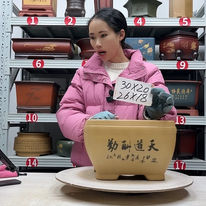 紫砂花盆紫砂花盆