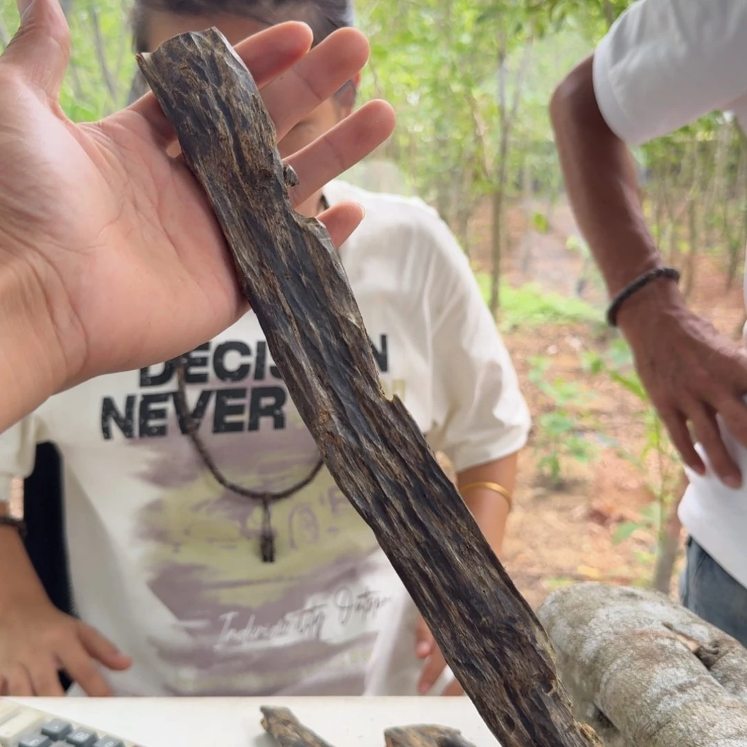 沉香碎屑沉香82克原材料多样性发一