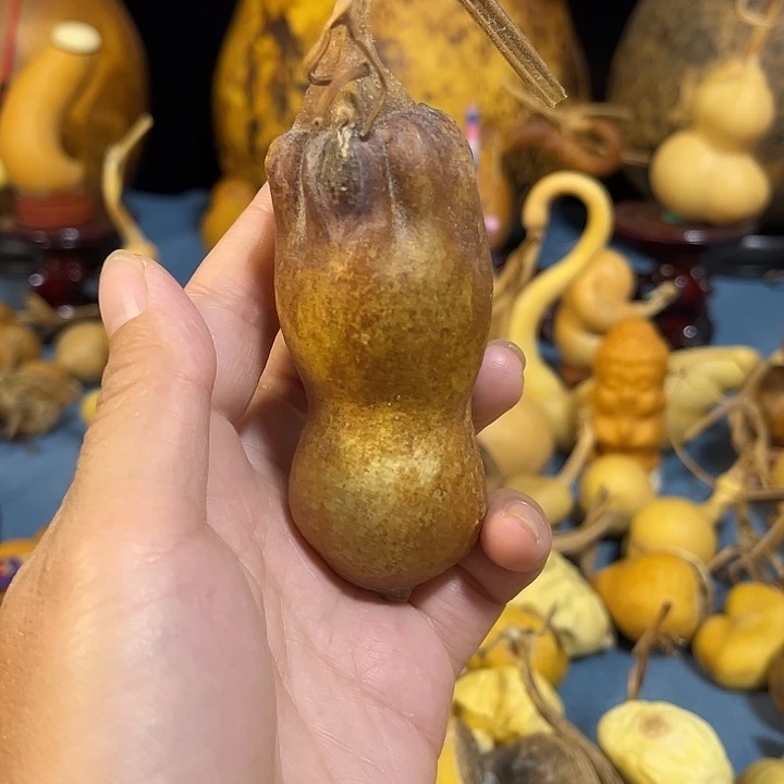 富***艺大叶紫檀（黑酸枝木类）