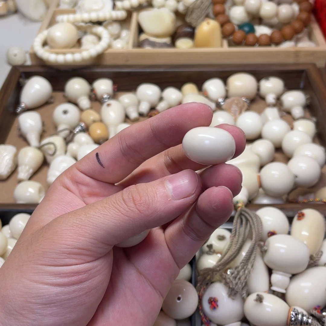 ****g吊坠菩提根/象牙果