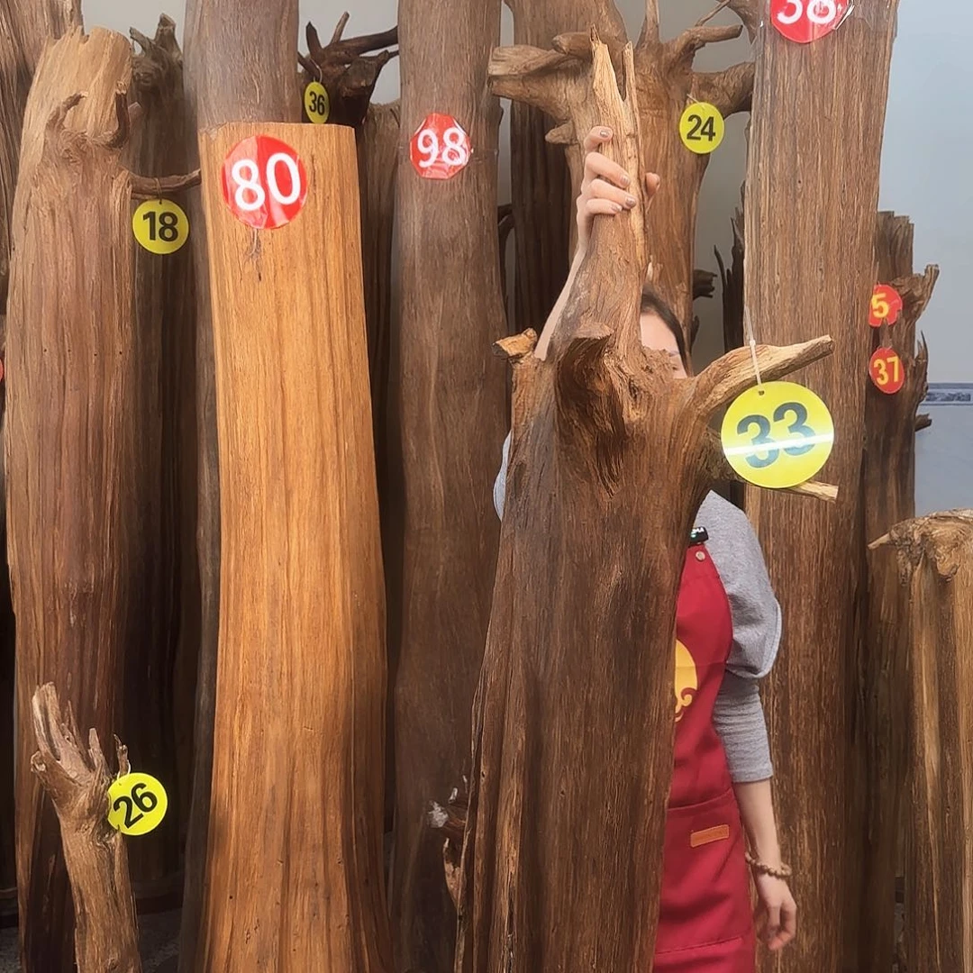 沉香摆件天然沉香原材料➕底座