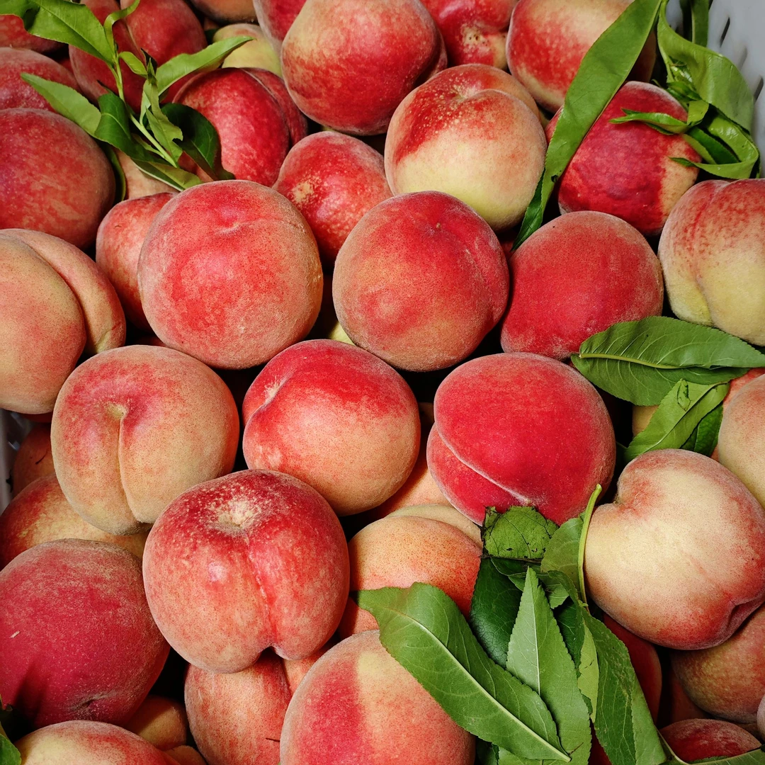 云南白玉香桃 桃香味浓郁 软硬两吃