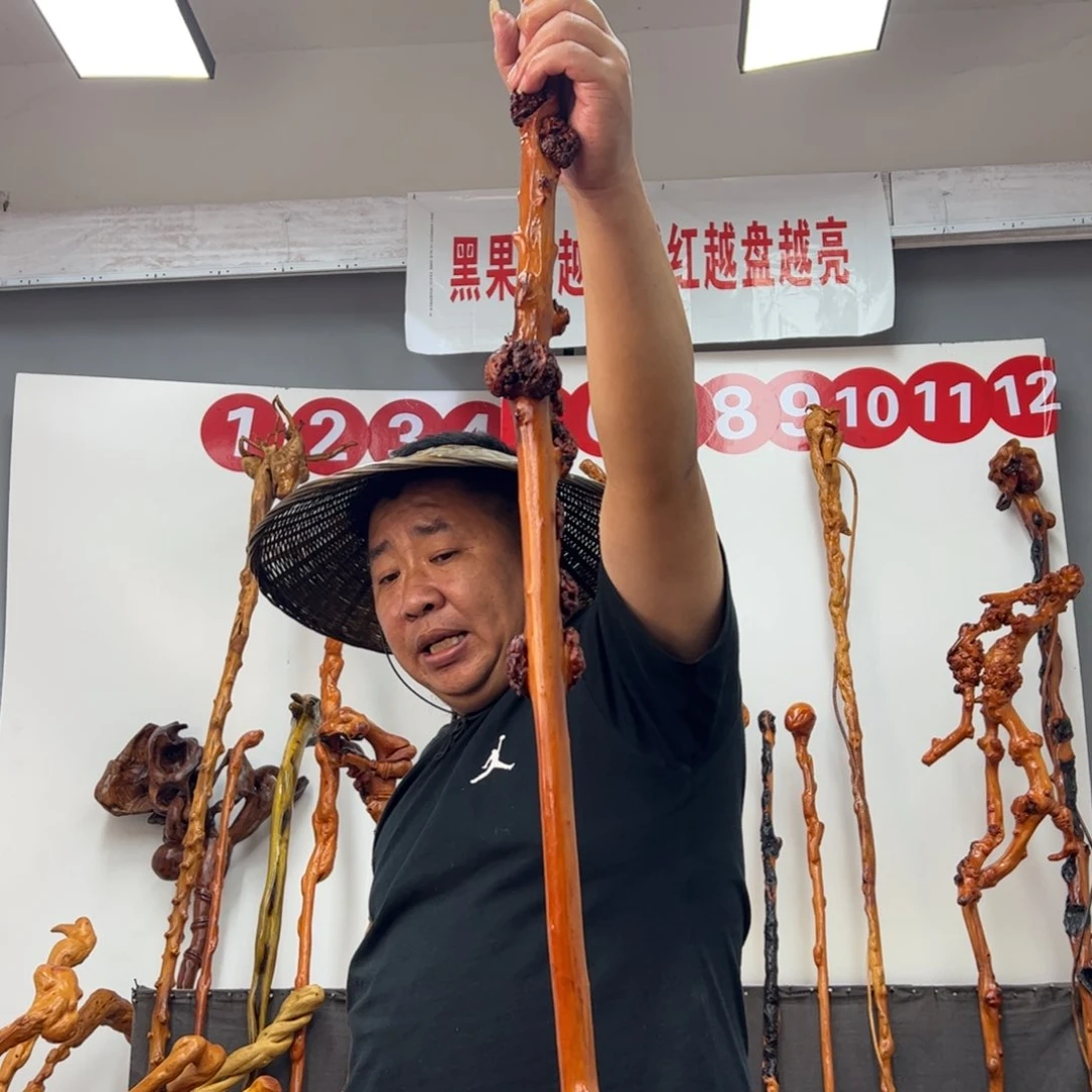 摸***河黑果木其他黑果木467