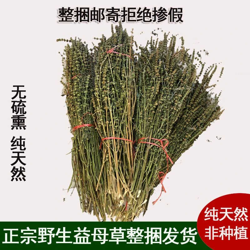 野生益母草新货益母草茶中药泡茶煮鸡蛋泡脚