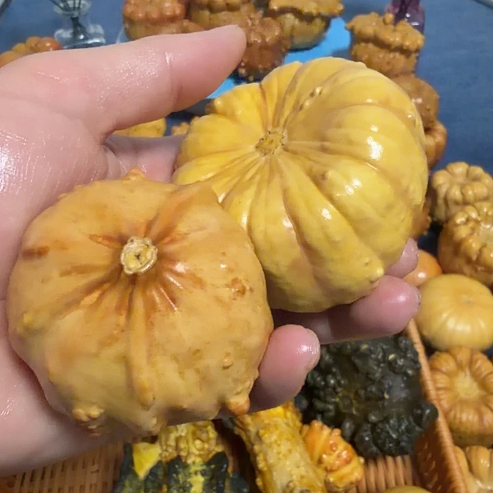 南***侬墨西哥七彩疙瘩葫芦瑕疵不退货