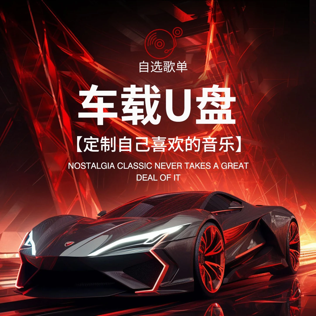 定制车载u盘抖音流行高品质车载音乐