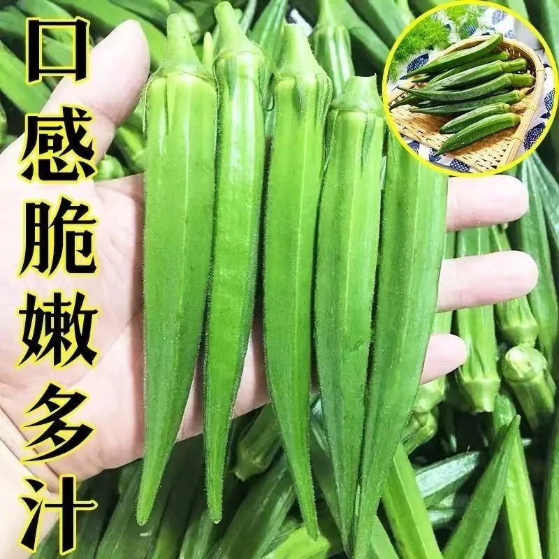 农家自摘新鲜水果秋葵高山种植应季蔬菜羊角豆可即食现摘现发