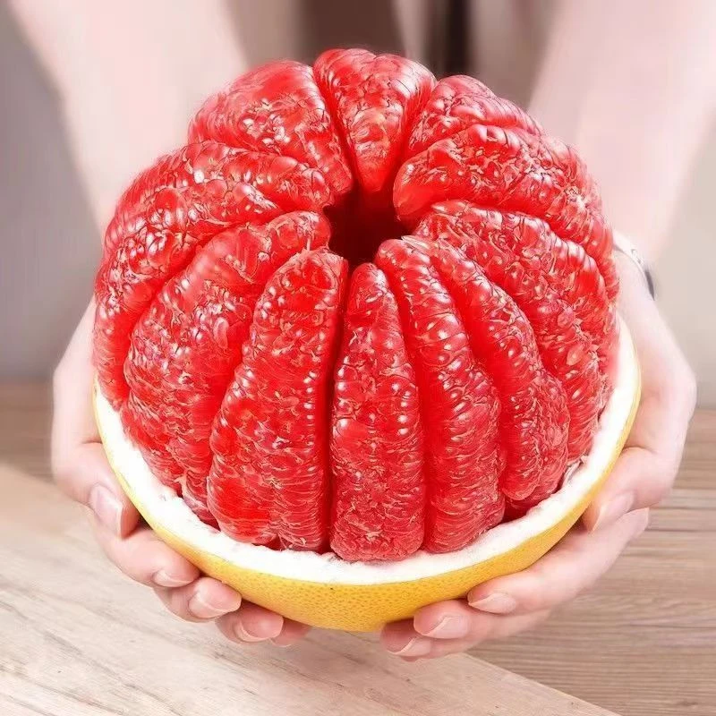 正宗红心蜜柚产地直发新鲜采摘皮薄肉厚多汁应季水果