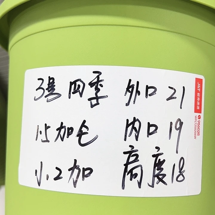 特价3号四季口21高18果绿无托10个