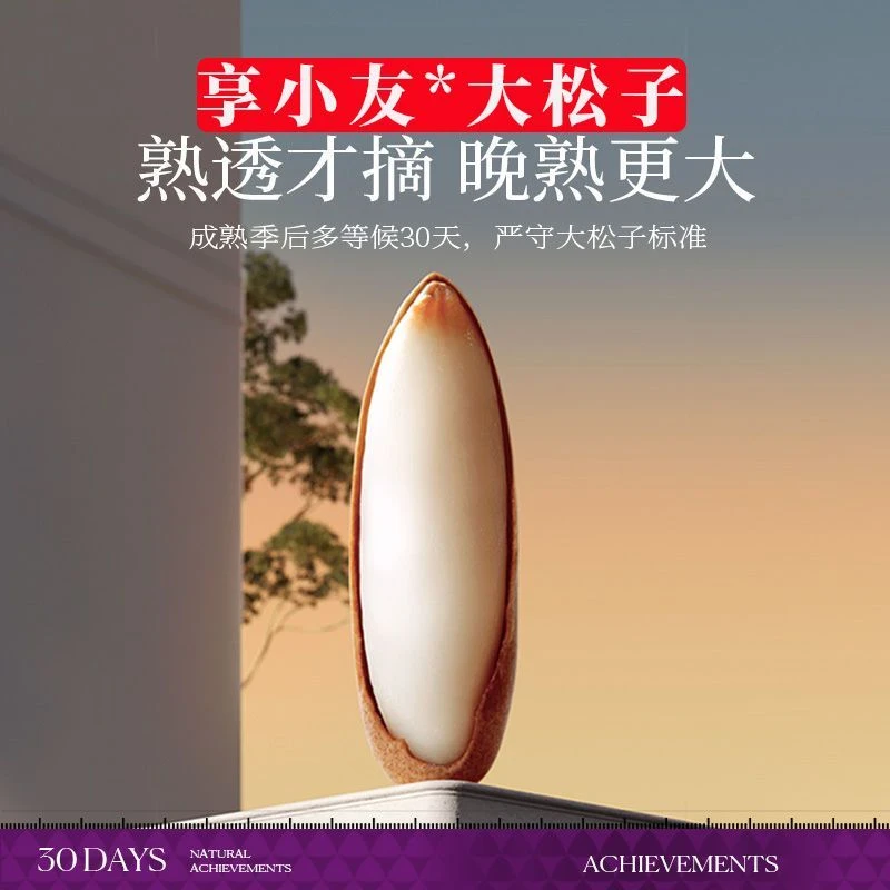 新货2025年精选巴西松子进口阿富汗手剥特大颗粒松子坚果零食特产