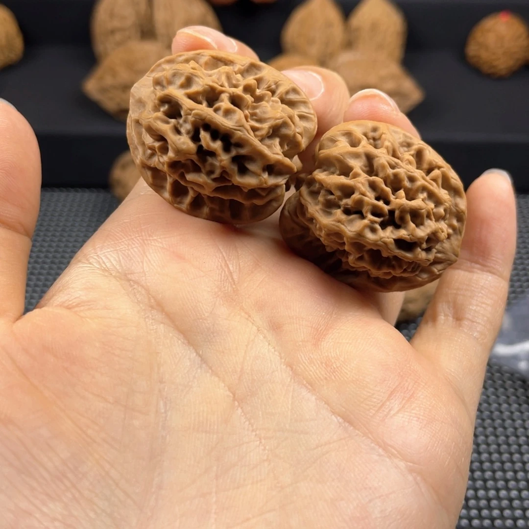 自*一秦岭神树秦闷小王