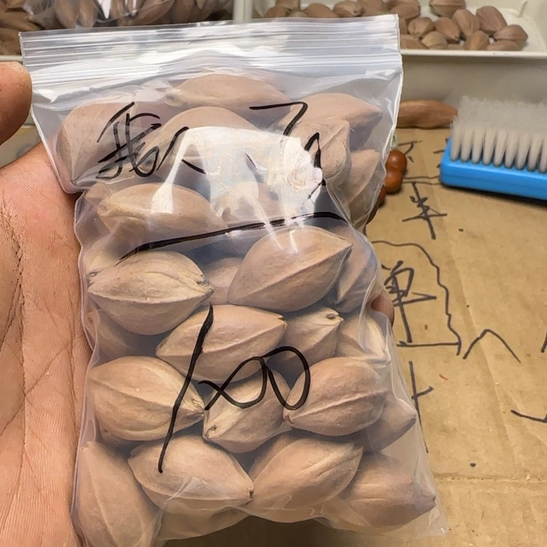 【闪购商品】橄榄核手串/手链我**翔111111111