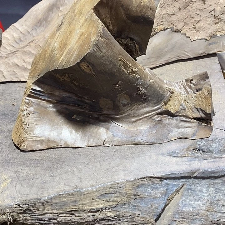 乌木类金丝楠木小叶