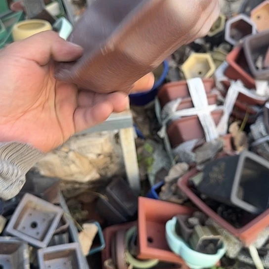 这几句真的好好啊哈哈好好听我要疯啊