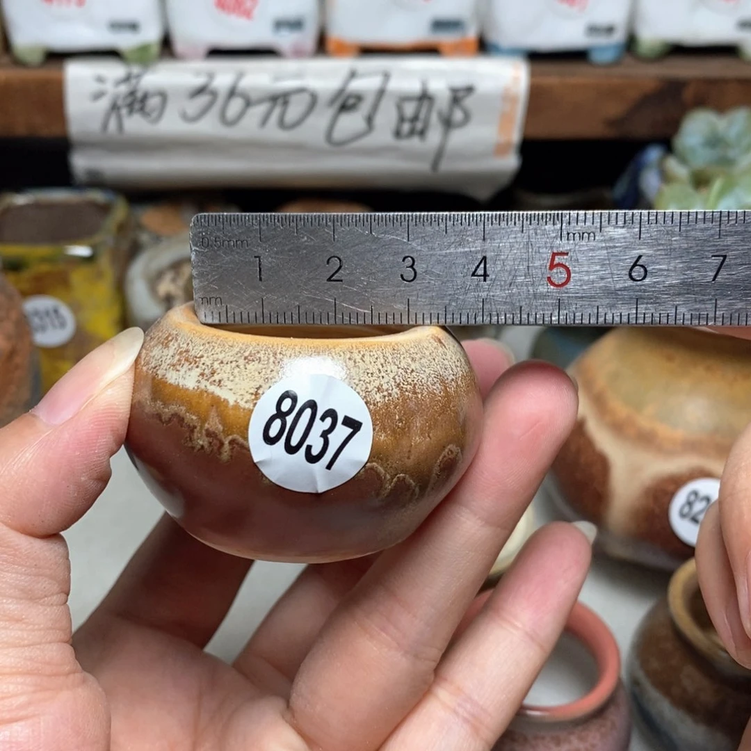 拍5送一个小礼物