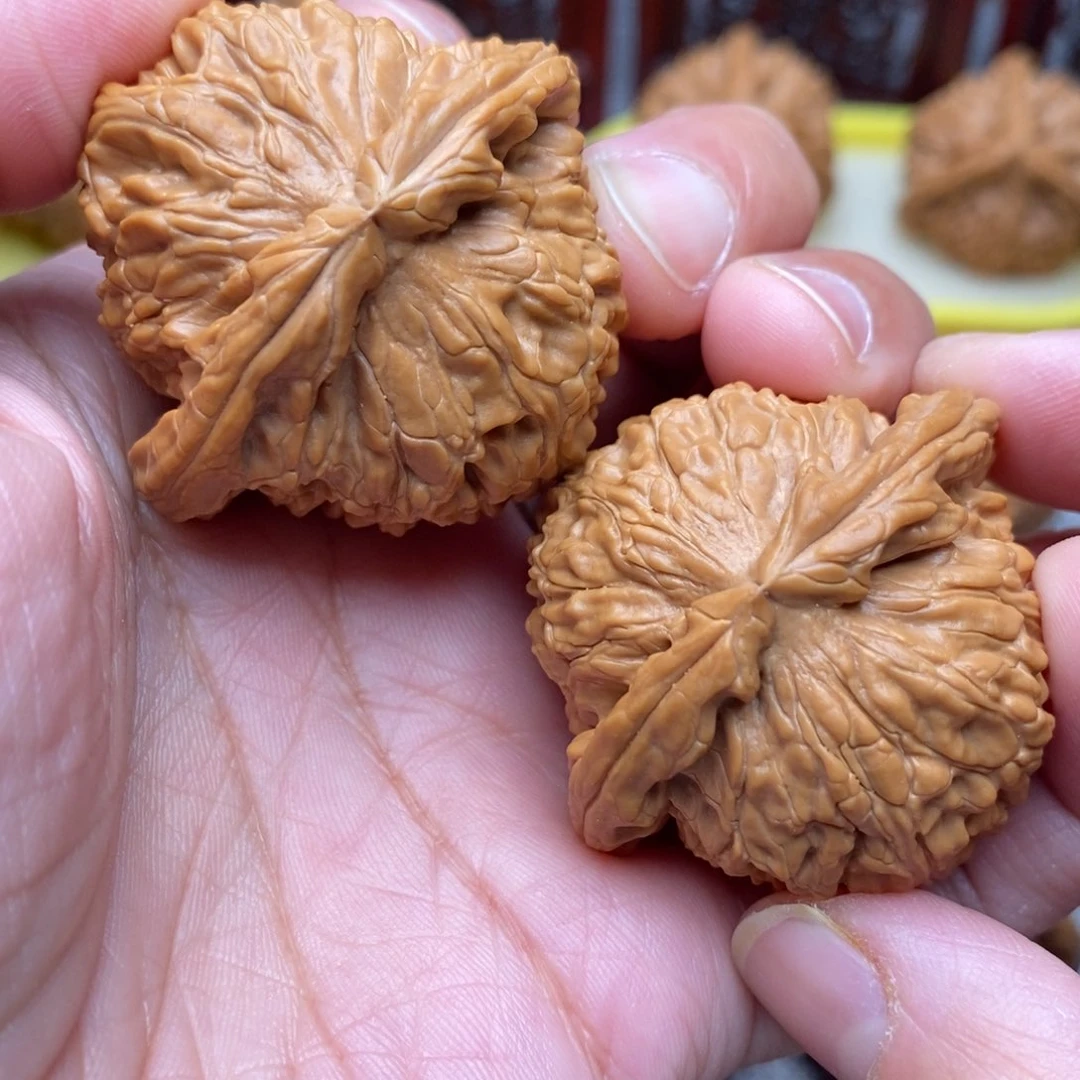 文玩核桃把件肚**王全品毕业白狮子42尺