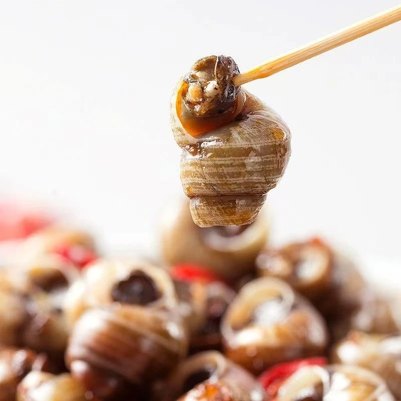 【散装】3袋【巨好吃的麻辣田螺】小螺号麻辣田螺500g一袋解馋零食美食