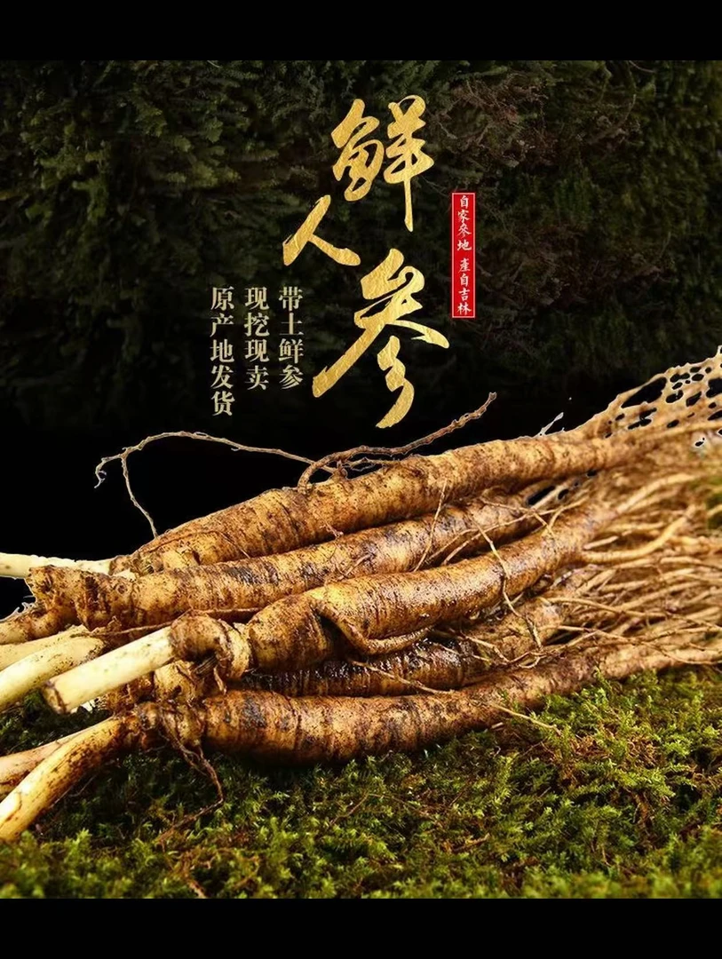 微残长白山新鲜人参煲汤参泡酒参单支20g±（到手半斤 不退不换）